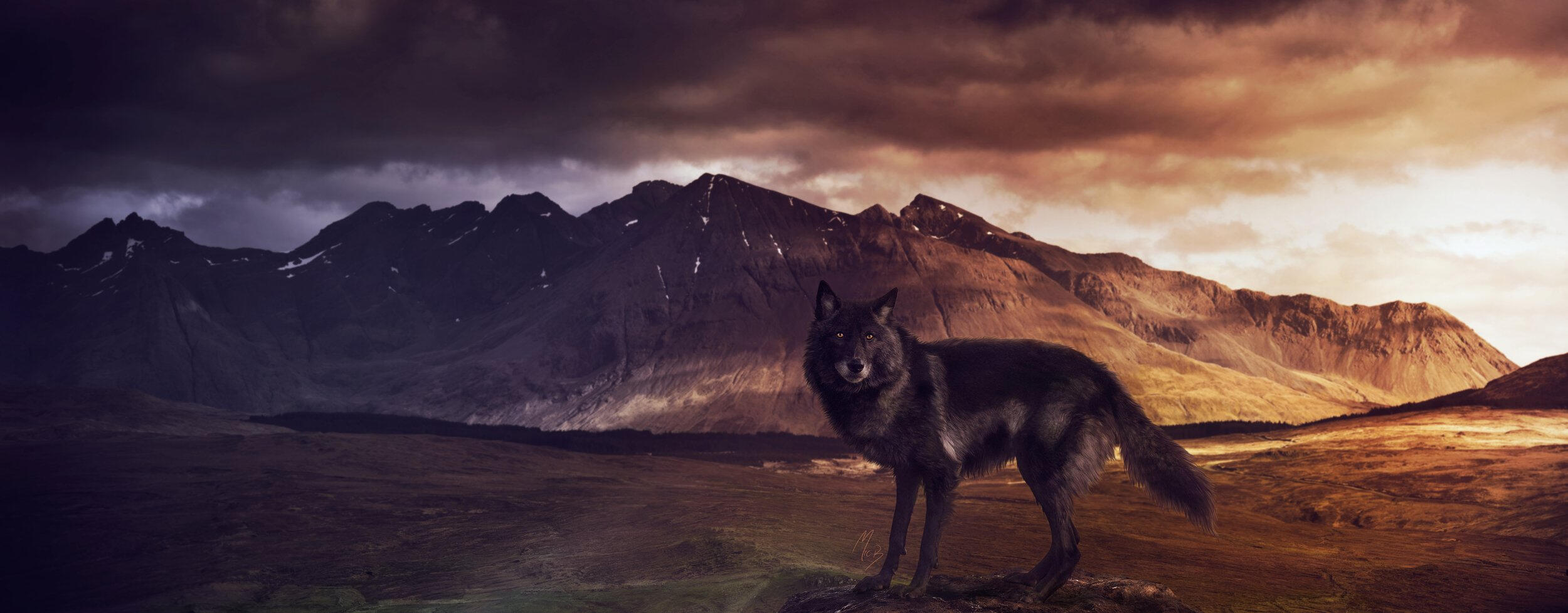 creatures of the wind